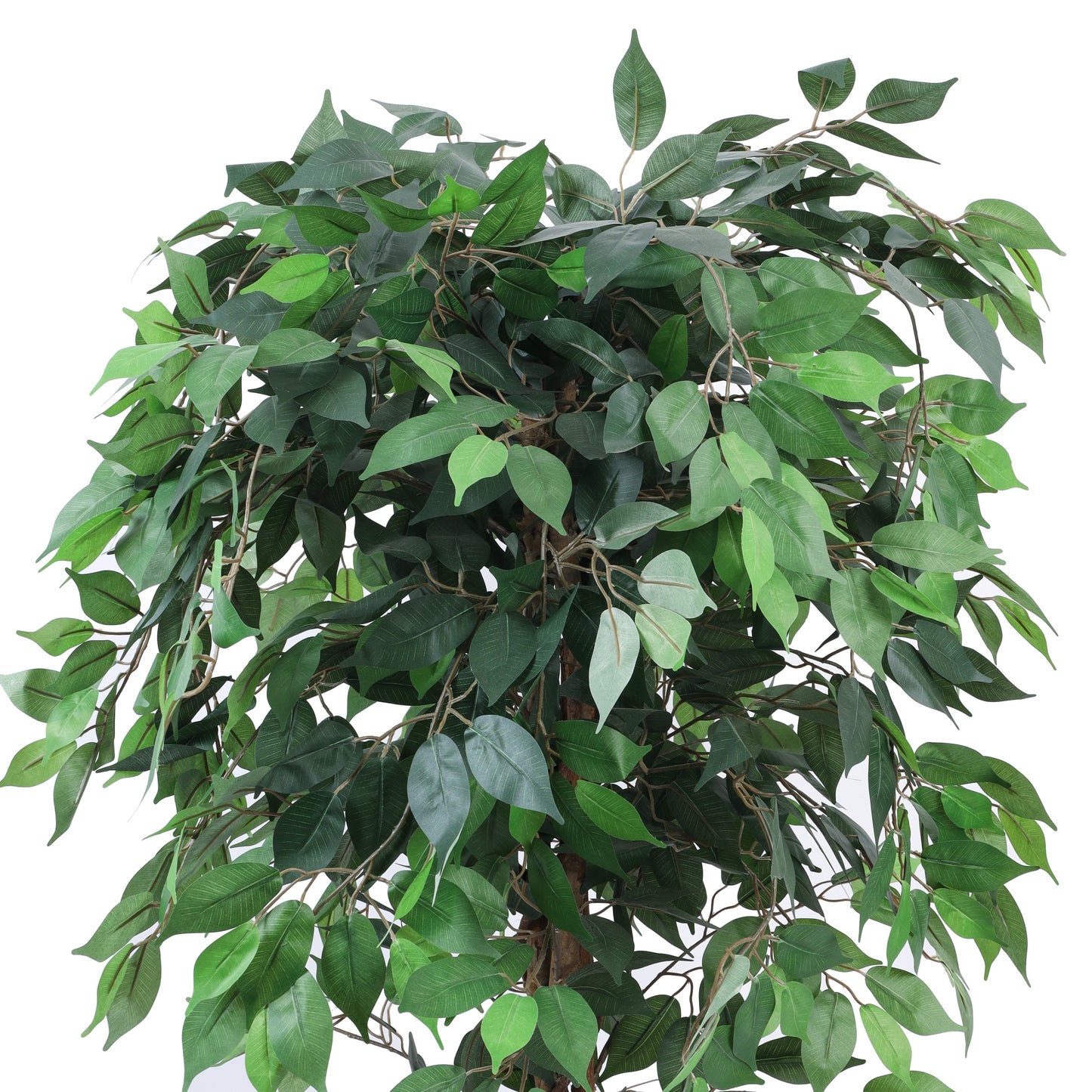 Artificial Ficus Plant in Black Pot (5 Feet)