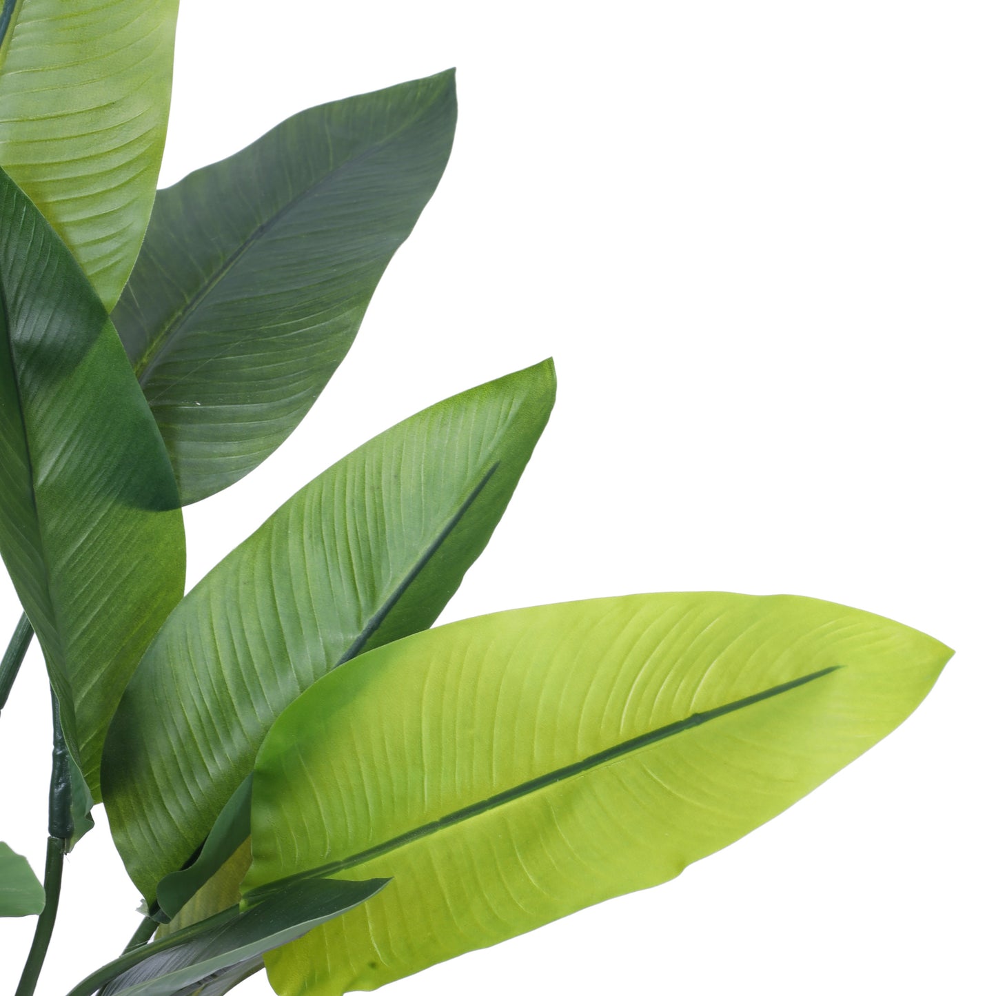 Artificial Banana Potted Plant (2 Feet)