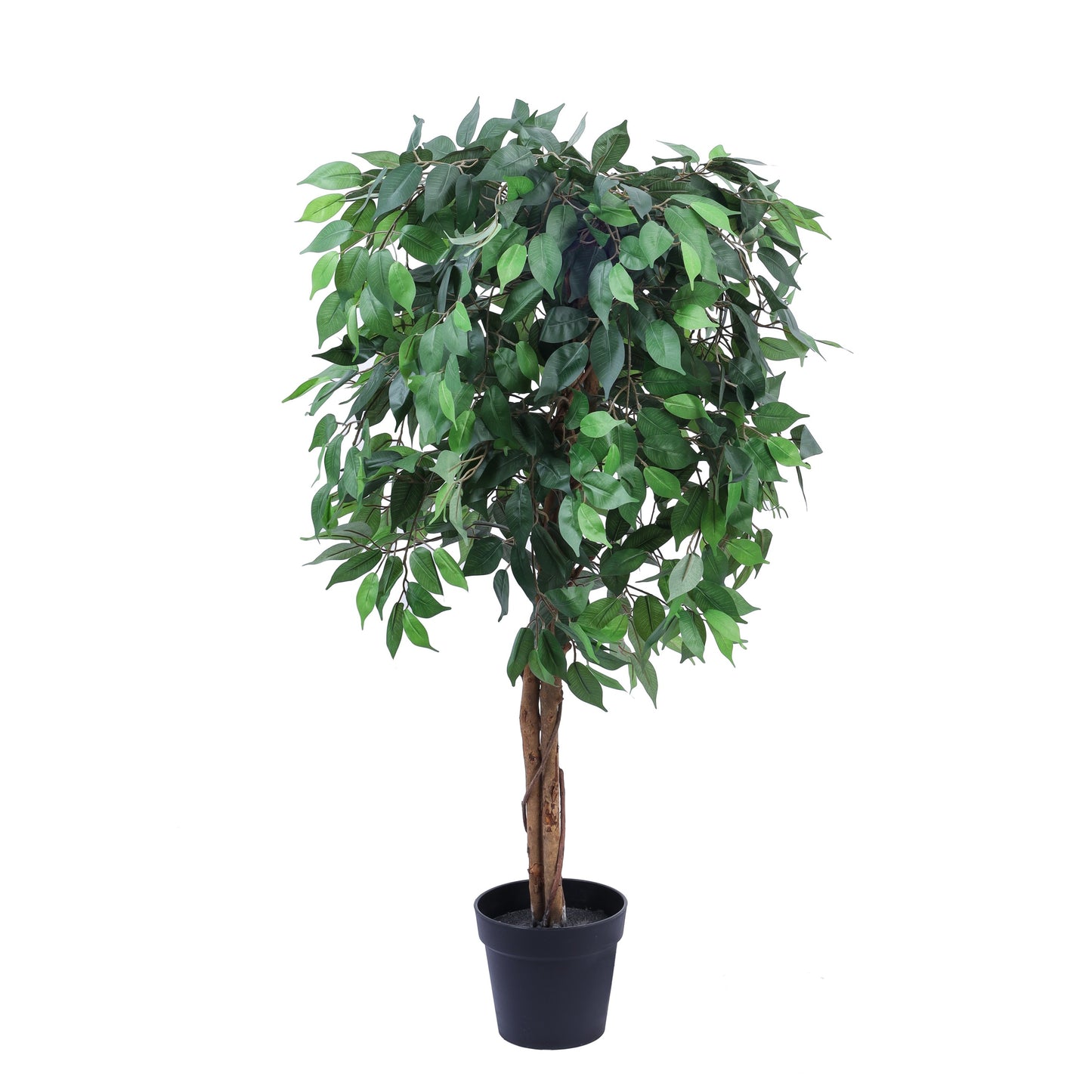 Artificial Ficus Plant in Black Pot (5 Feet)