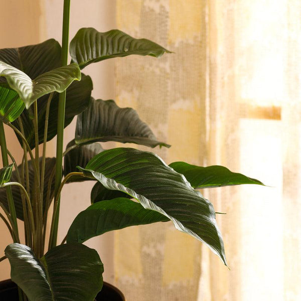 Artificial Peace Lily Plant in Black Pot (2.5 Feet)