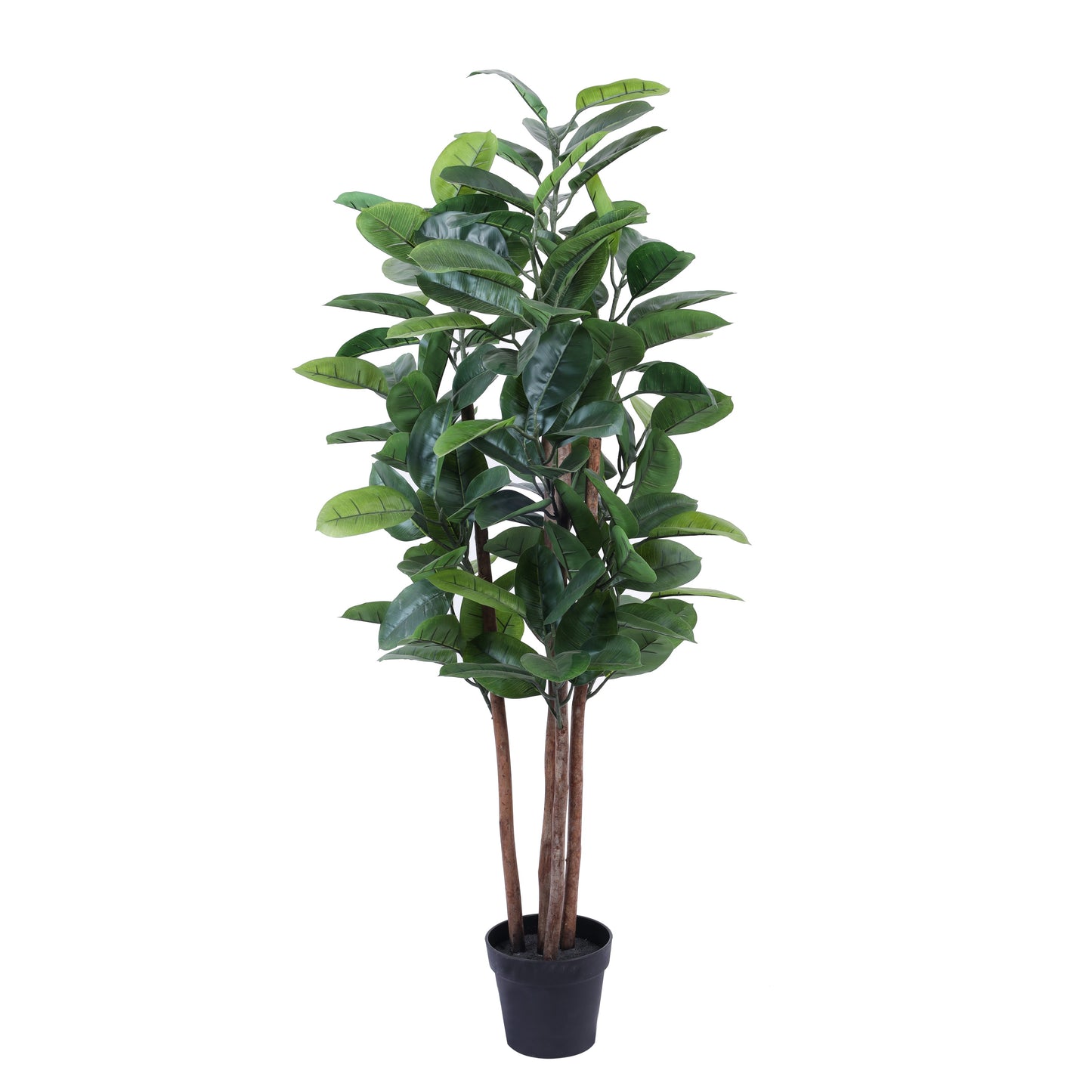 Artificial Rubber Tree in Black Pot (5 Feet)