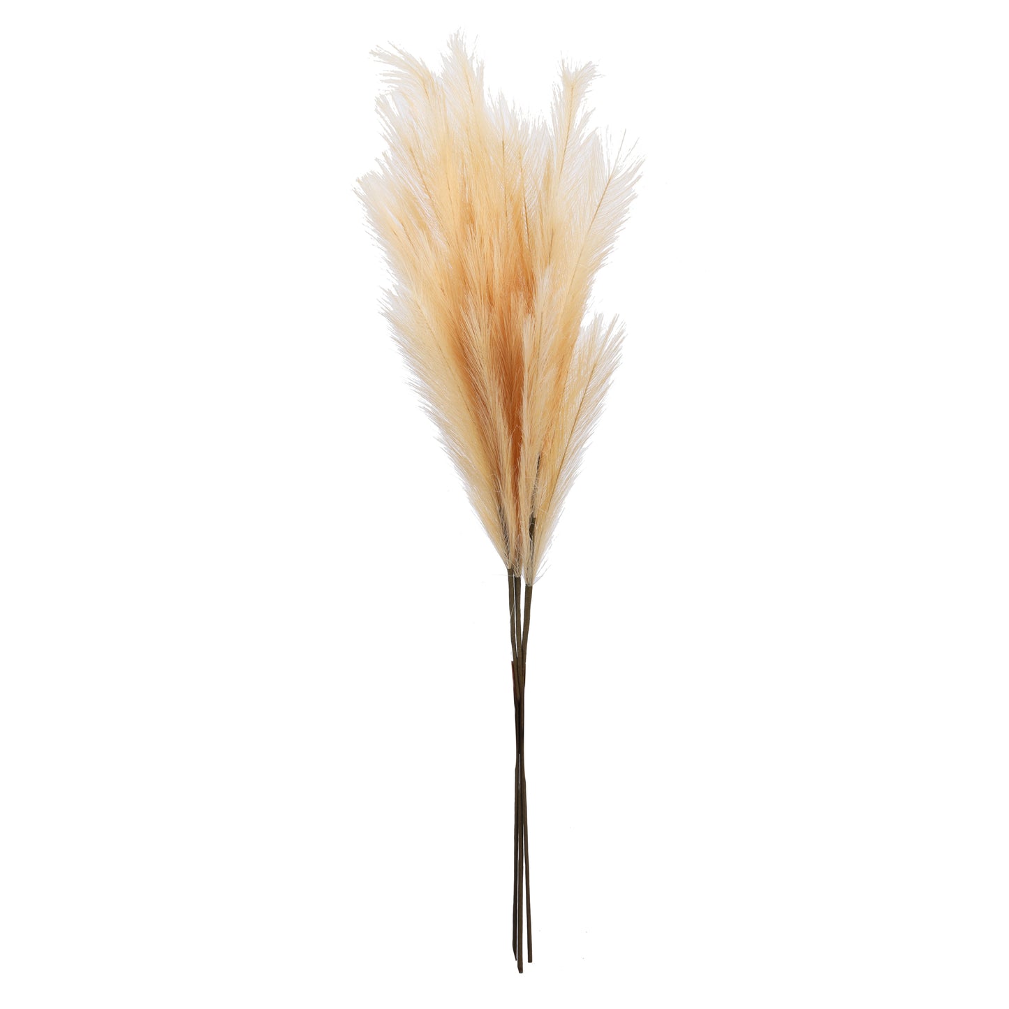 Artificial Pampas Sticks (3 Sticks, 3 Feet, Brown)