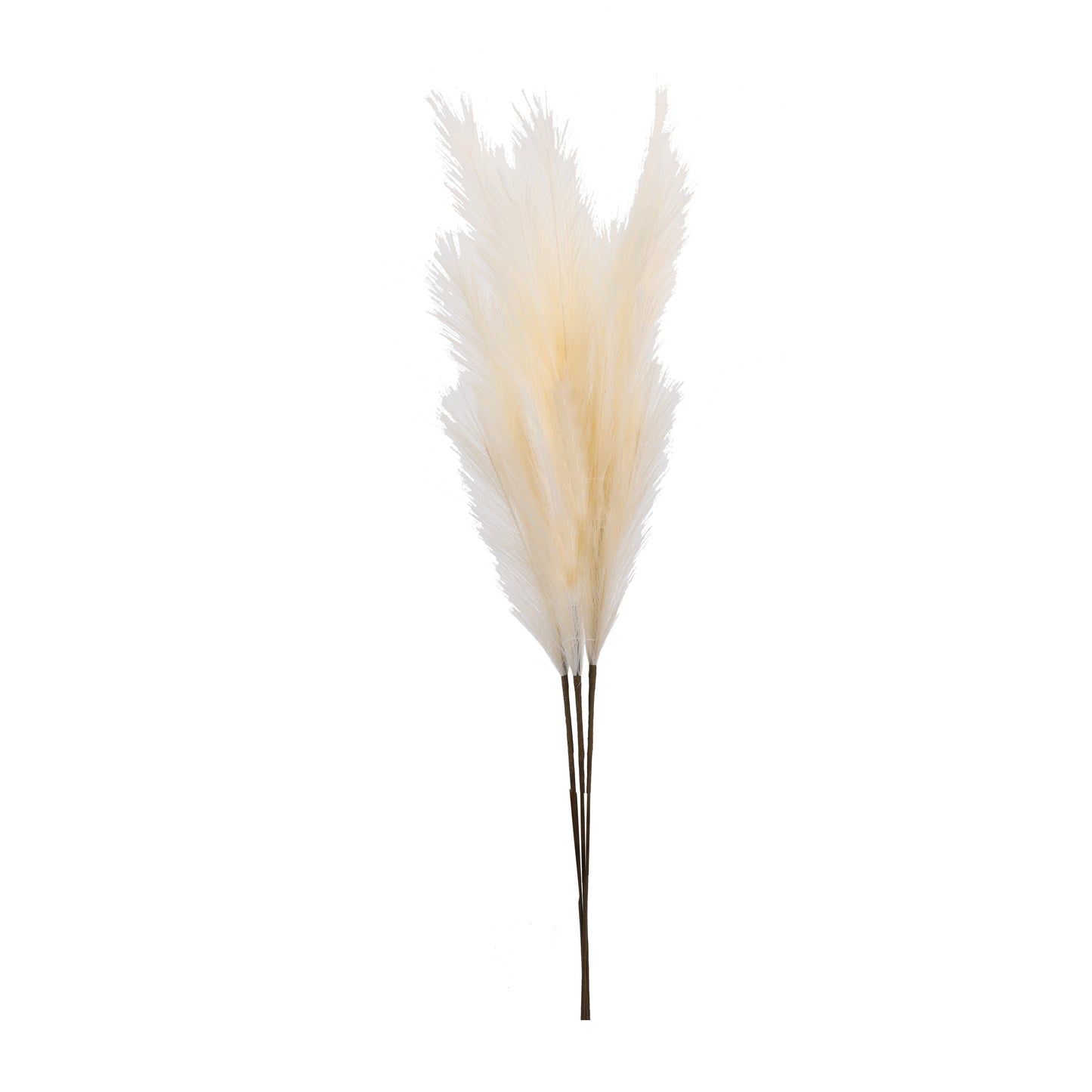 Artificial Pampas Sticks (3 Sticks, 3 Feet, Beige)