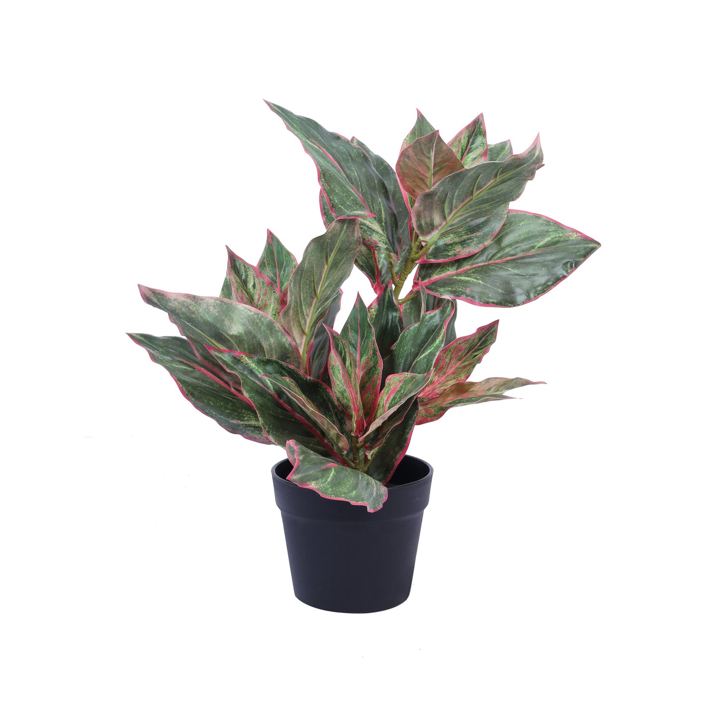 Artificial Green Dieffenbachia Potted Plant (2 Feet)