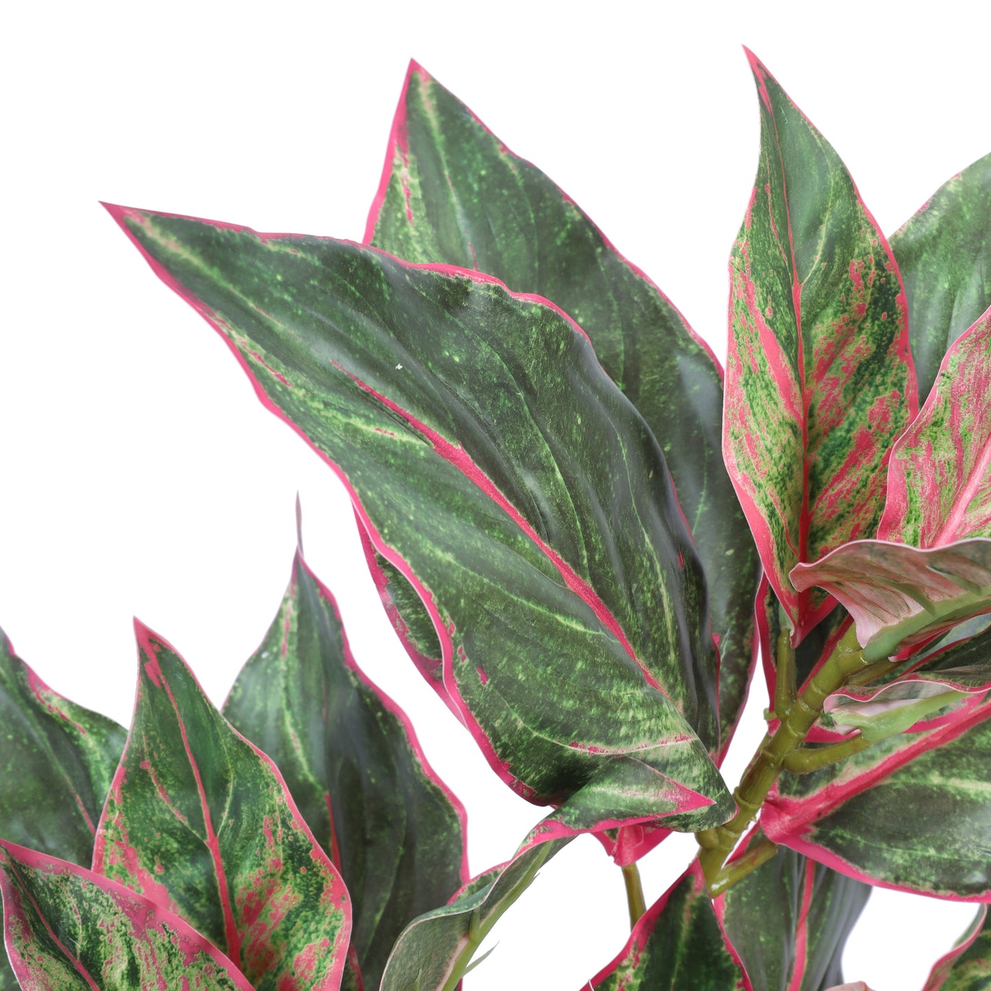 Artificial Green Dieffenbachia Potted Plant (2 Feet)