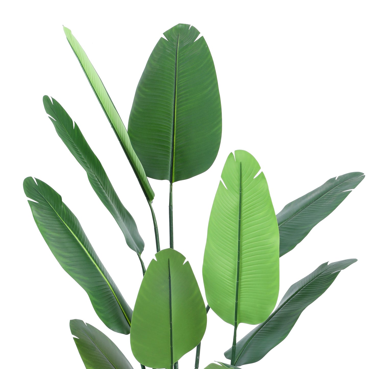 Artificial Banana Tree in Black Pot (5 Feet)