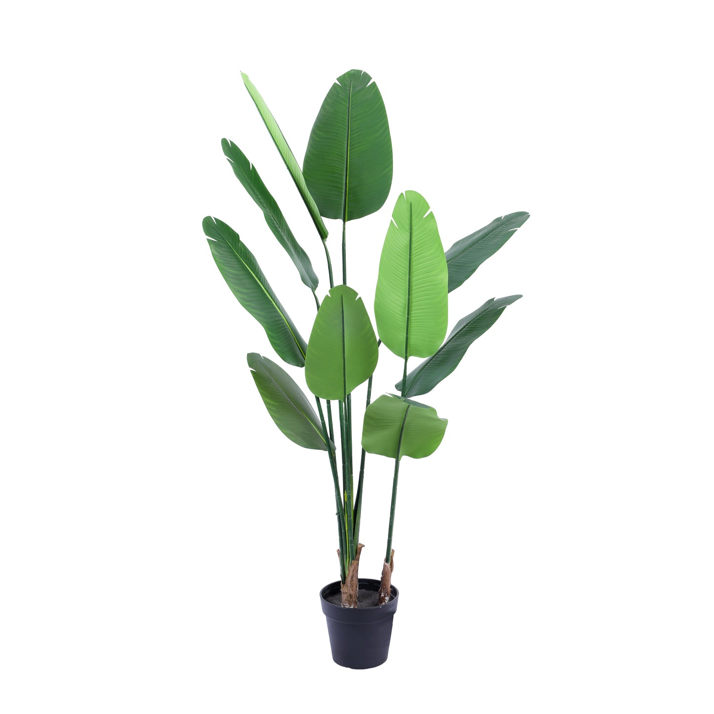 Artificial Banana Tree in Black Pot (5 Feet)