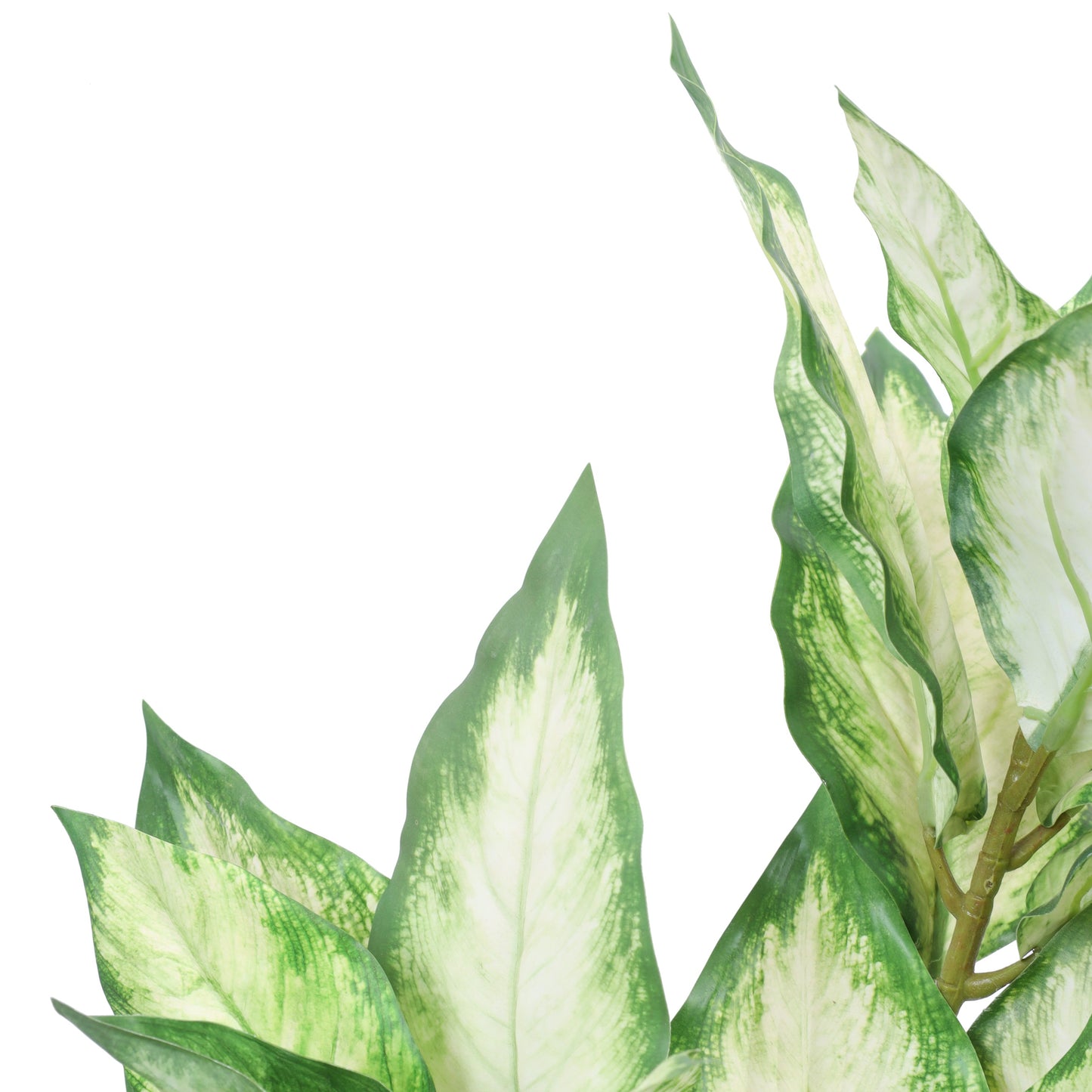 Artificial Pink Dieffenbachia Potted Plant (2 Feet)
