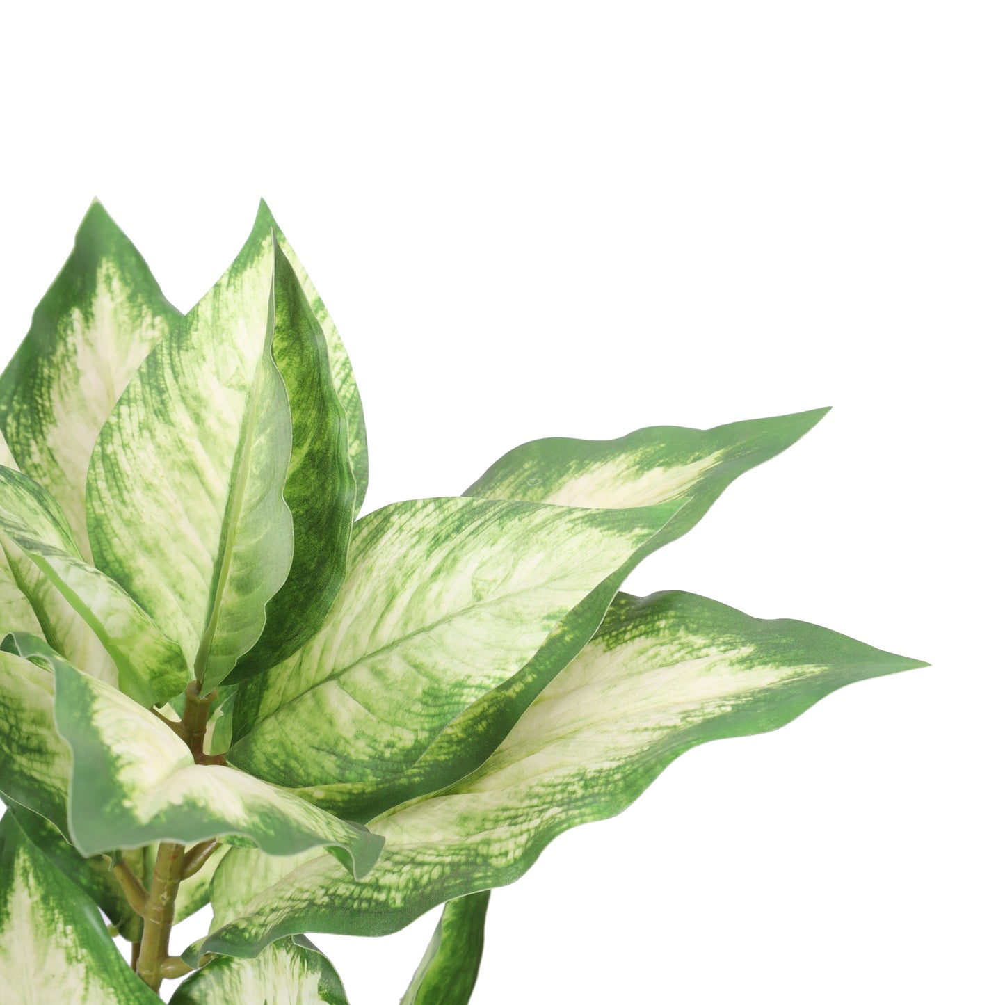 Artificial Pink Dieffenbachia Potted Plant (2 Feet)
