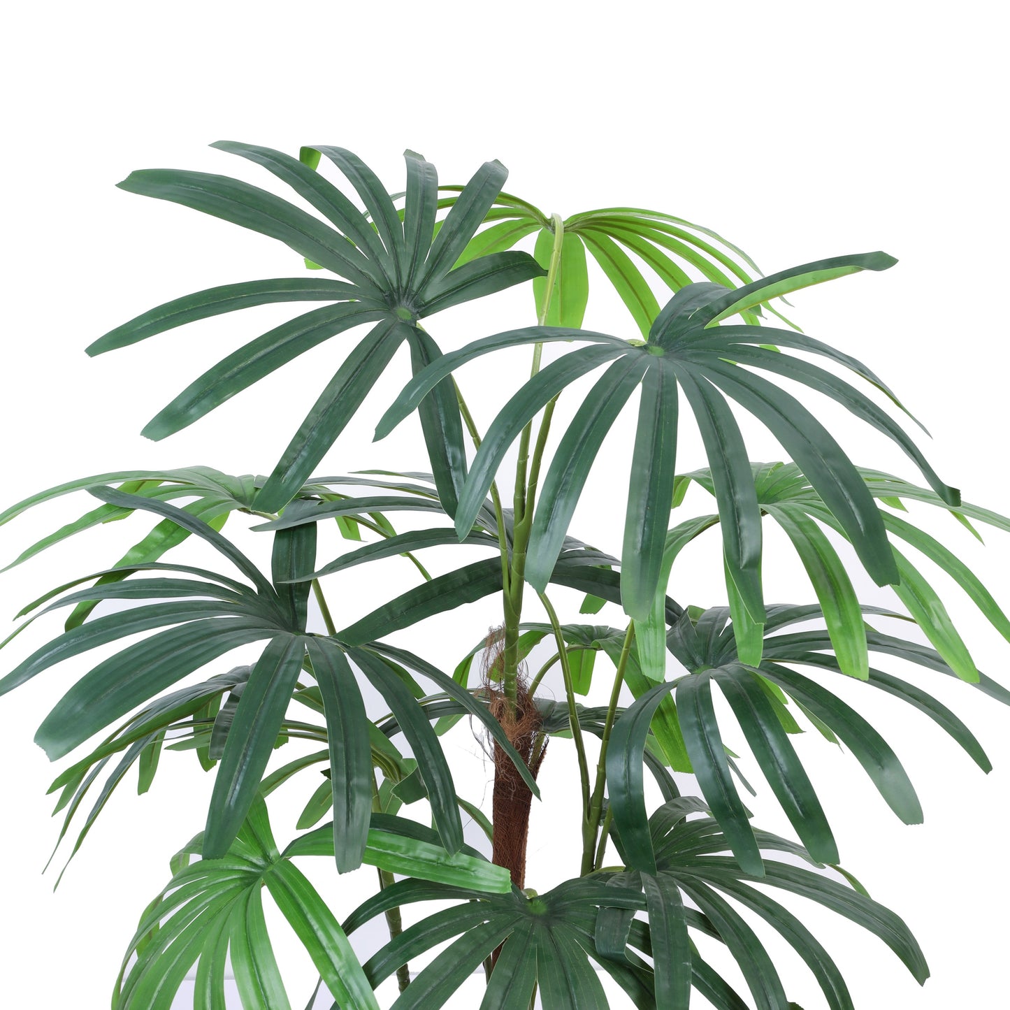 Artificial Rhapis Palm Tree in Black Pot (5 Feet)