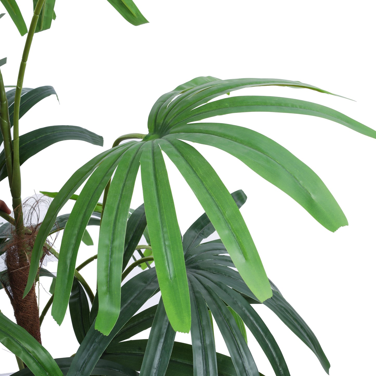 Artificial Rhapis Palm Tree in Black Pot (5 Feet)