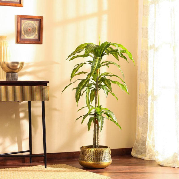 Artificial Dracaena Plant in Black Pot (4 Feet)