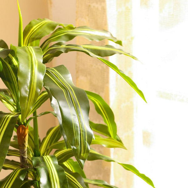 Artificial Dracaena Plant in Black Pot (4 Feet)