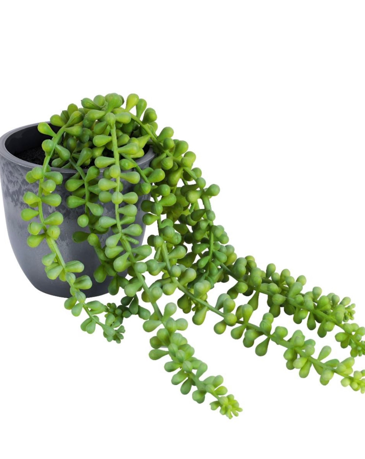 1.5 Feet Artificial Hanging Succulent Vine  with pot Premium Hanging Artificial Vine for Home and Interior Decor for Indoor and outdoor use