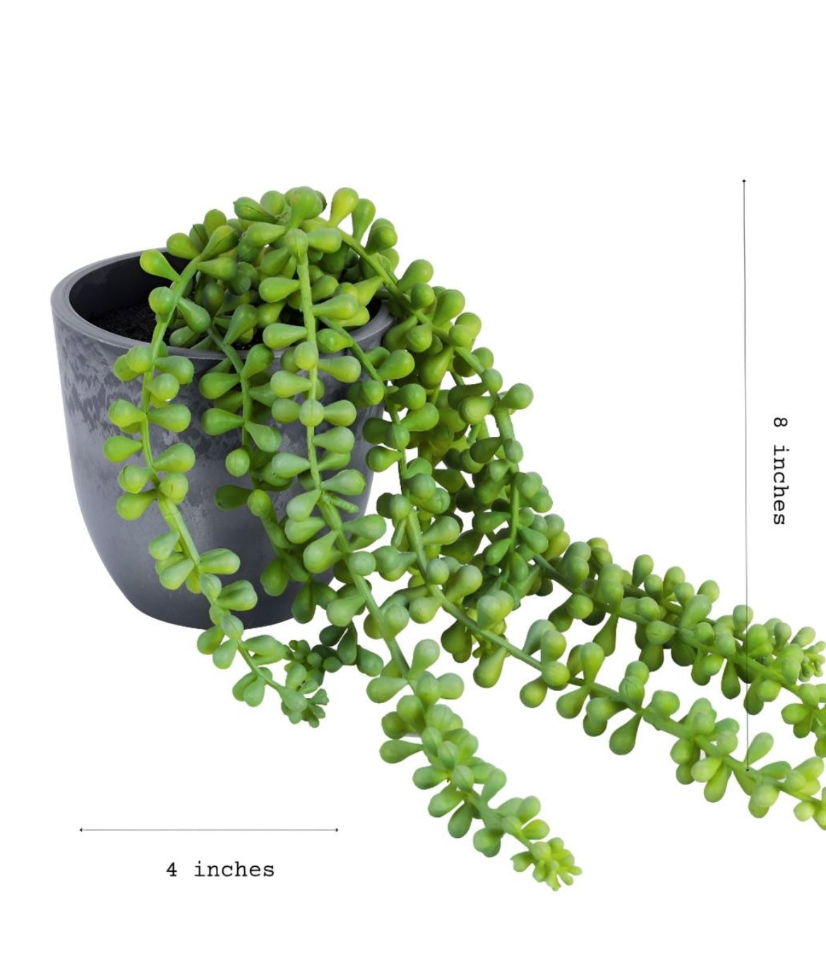 1.5 Feet Artificial Hanging Succulent Vine  with pot Premium Hanging Artificial Vine for Home and Interior Decor for Indoor and outdoor use