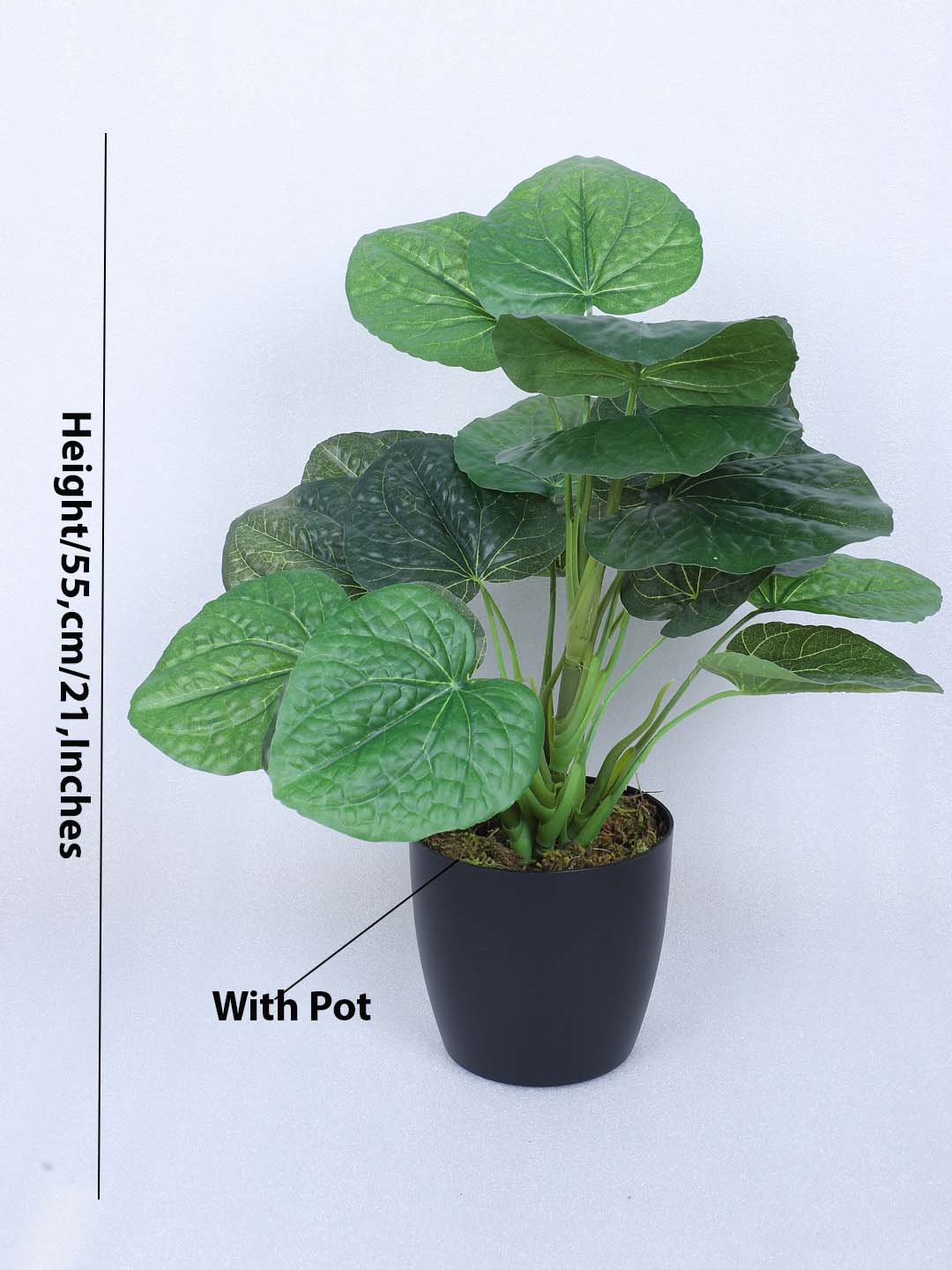 1.8 Feet Artificial Betel Leaf Plant with Pot- Premium Artificial Plant with Pot for Home and Office Decor for indoor and outdoor use 