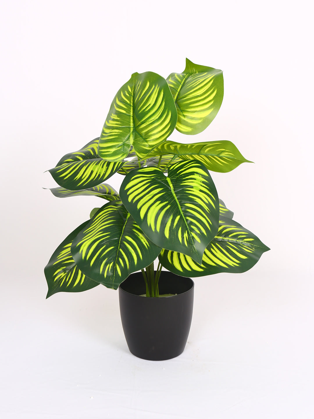 1.8 Feet Artificial Green Calathea Plant without Pot- Artificial Plant for Home and Interior Decor for indoor and outdoor use