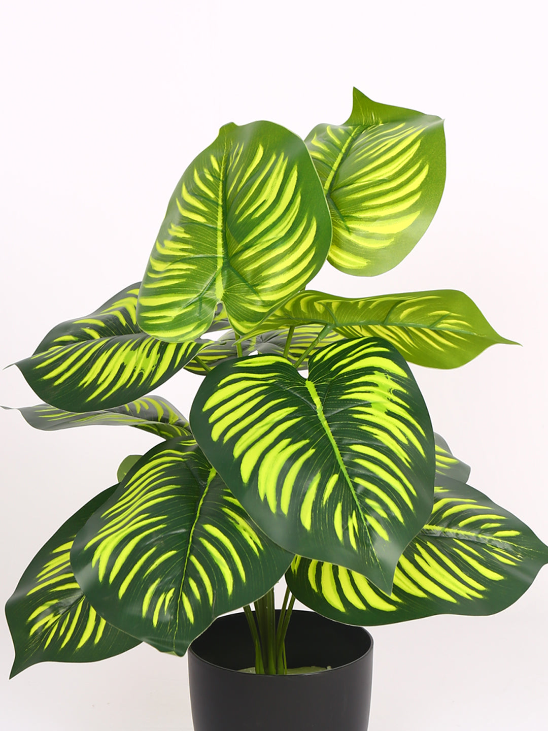 1.8 Feet Artificial Green Calathea Plant without Pot- Artificial Plant for Home and Interior Decor for indoor and outdoor use