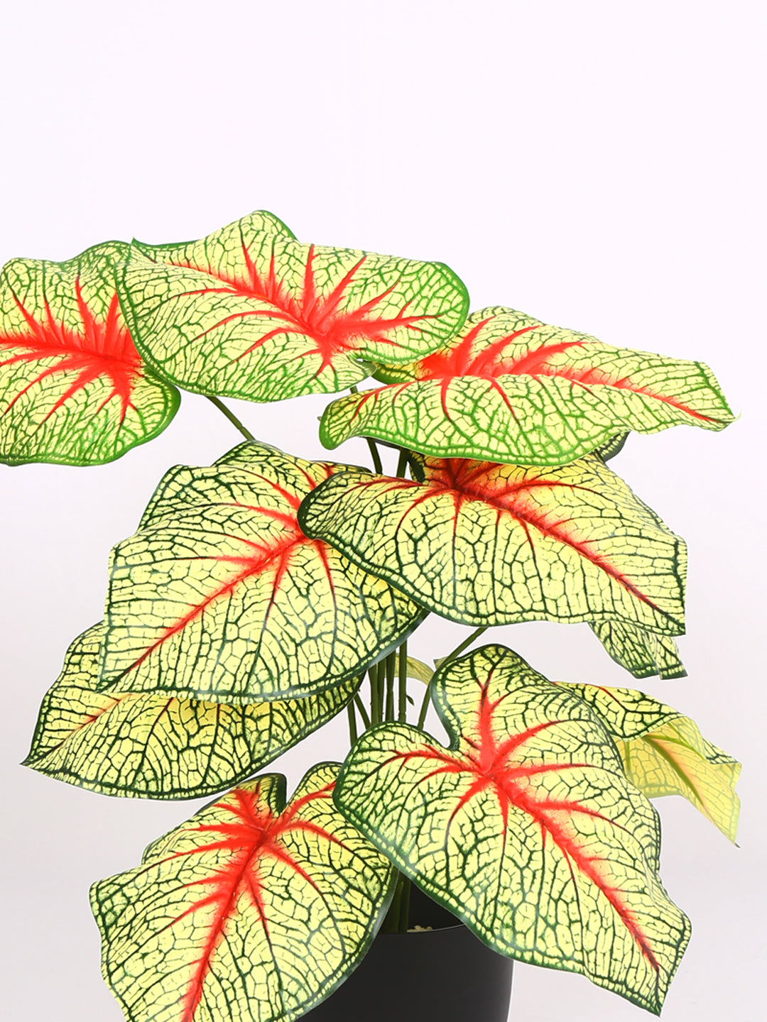 1.8 Feet Artificial Red Caladium Plant without Pot- Artificial Plant for Home and Office Decor for indoor and outdoor use