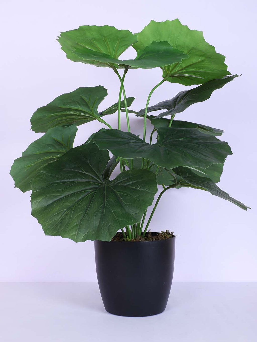 1.8 Feet Luxe Artificial Green Begonia Leaf Plant with 12 Big Leaves with Pot- Premium Artificial Plant for Home and Interior Decor for indoor and outdoor use 