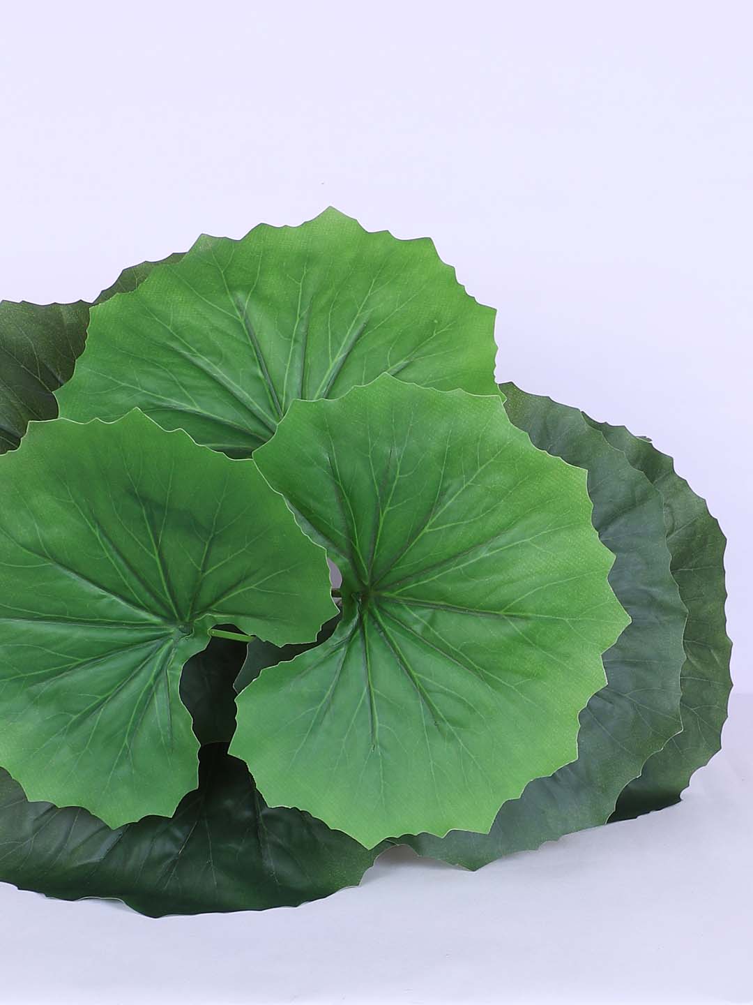 1.8 Feet Luxe Artificial Green Begonia Leaf Plant with 12 Big Leaves with Pot- Premium Artificial Plant for Home and Interior Decor for indoor and outdoor use 