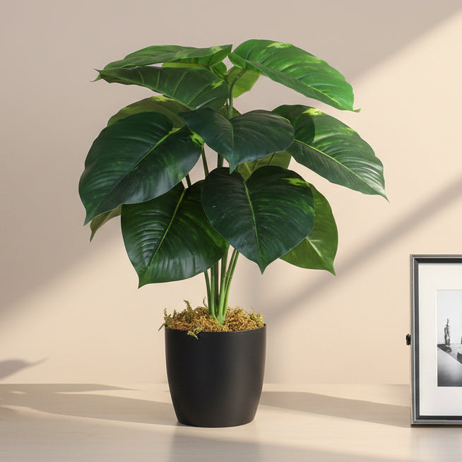 1.8 Feet Luxe Artificial Money Plant with 12 Big Leaves with Pot- Premium Artificial Plant for Home and Interior Decor for indoor and outdoor use 