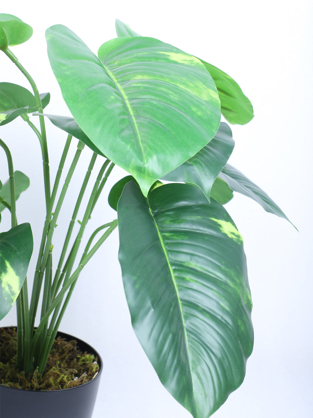 1.8 Feet Luxe Artificial Money Plant with 12 Big Leaves with Pot- Premium Artificial Plant for Home and Interior Decor for indoor and outdoor use 