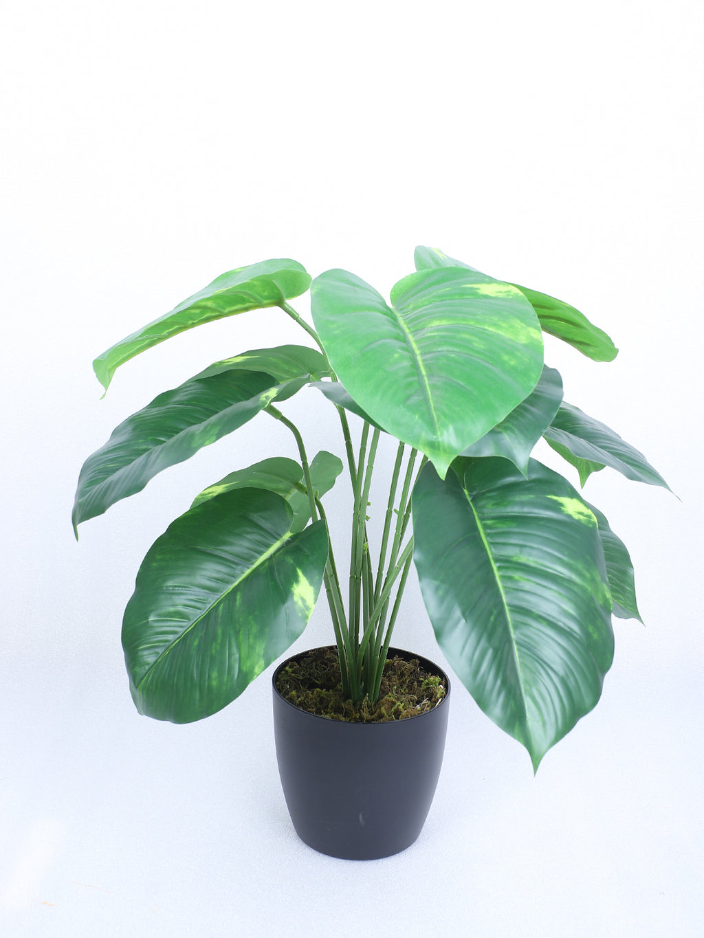 1.8 Feet Luxe Artificial Money Plant with 12 Big Leaves with Pot- Premium Artificial Plant for Home and Interior Decor for indoor and outdoor use 