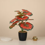 1.8 Feet Luxe Artificial Red Begonia Leaf Plant with 12 Big Leaves with Pot- Premium Artificial Plant for Home and Interior Decor for indoor and outdoor use 