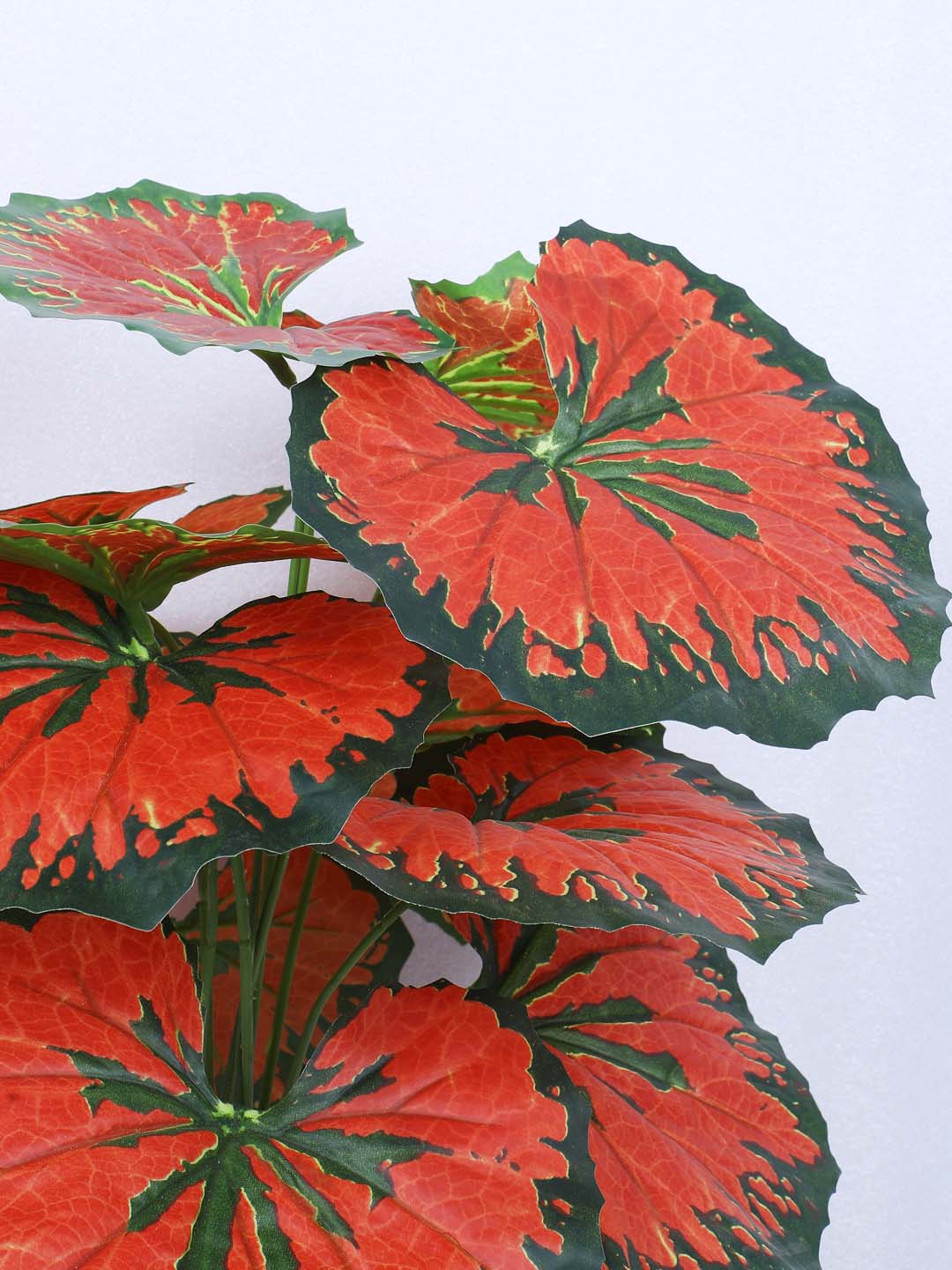 1.8 Feet Luxe Artificial Red Begonia Leaf Plant with 12 Big Leaves with Pot- Premium Artificial Plant for Home and Interior Decor for indoor and outdoor use 