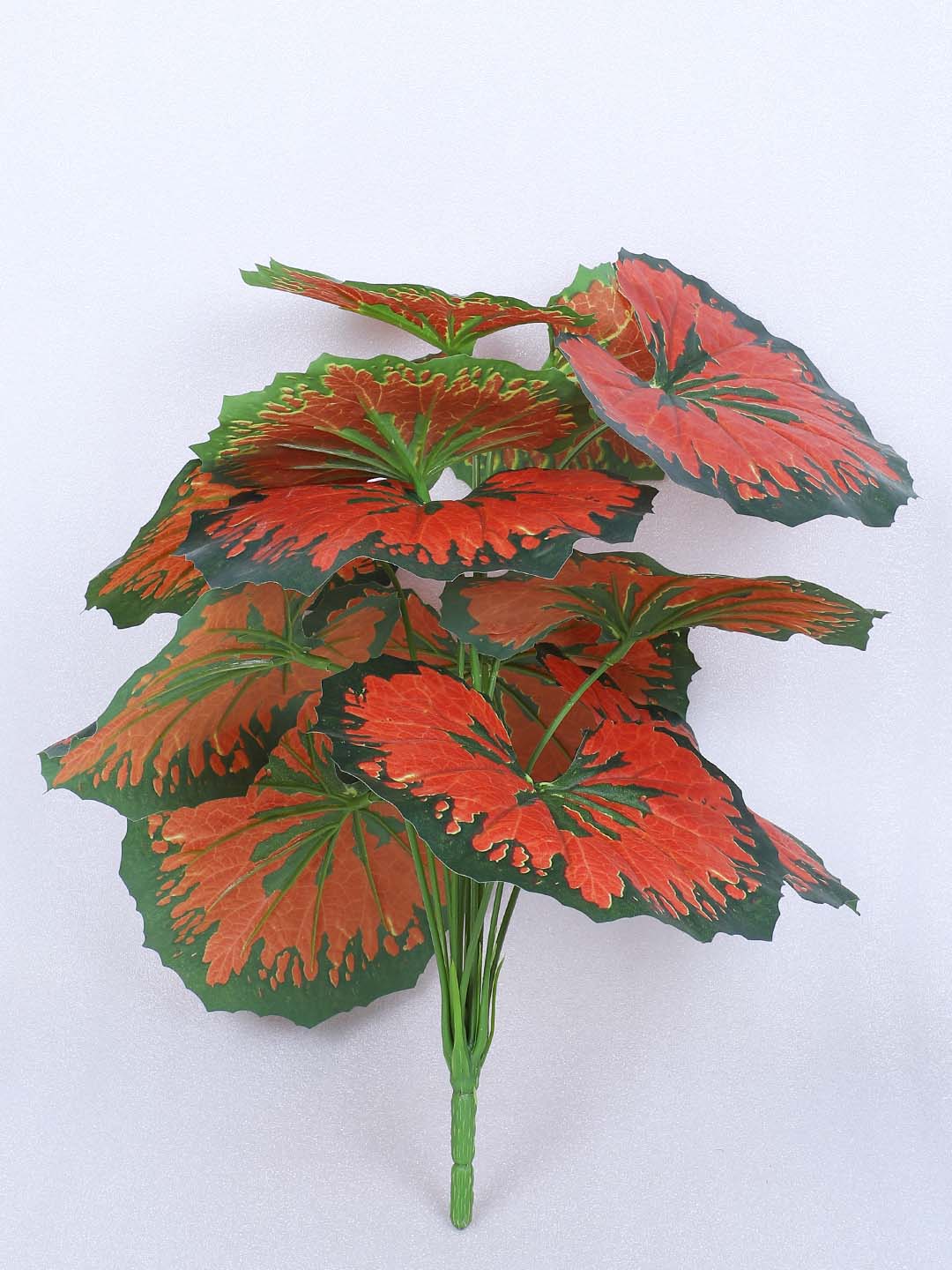 1.8 Feet Luxe Artificial Red Begonia Leaf Plant with 12 Big Leaves with Pot- Premium Artificial Plant for Home and Interior Decor for indoor and outdoor use 