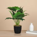 1.8 Feet Premium Artificial Diffenbachia Leaf Plant with Pot- Premium Artificial Plant for Home and Office Decor for indoor and outdoor use 