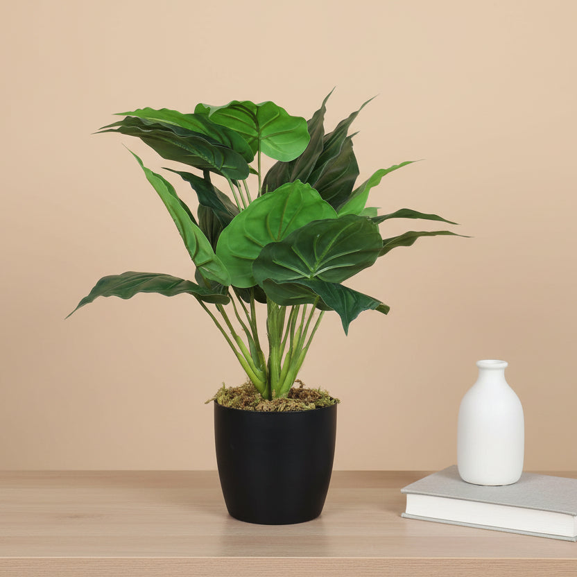 1.8 Feet Premium Artificial Diffenbachia Leaf Plant with Pot- Premium Artificial Plant for Home and Office Decor for indoor and outdoor use 