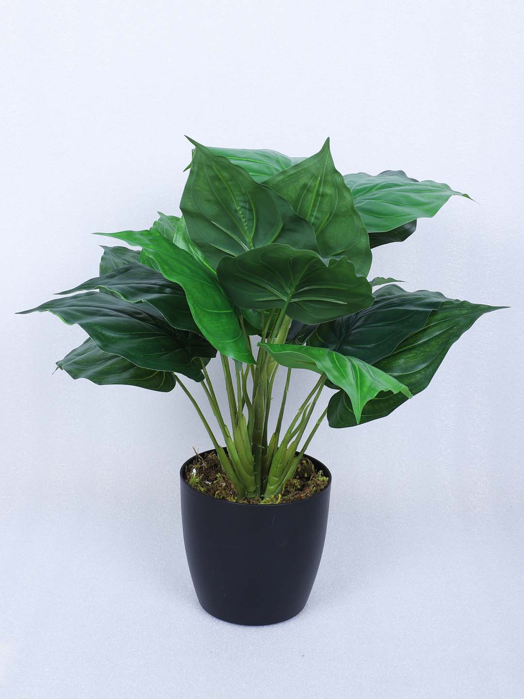 1.8 Feet Premium Artificial Diffenbachia Leaf Plant with Pot- Premium Artificial Plant for Home and Office Decor for indoor and outdoor use 