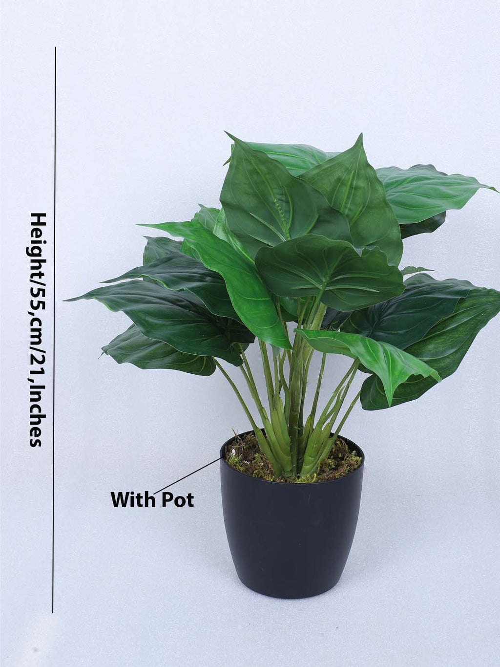 1.8 Feet Premium Artificial Diffenbachia Leaf Plant with Pot- Premium Artificial Plant for Home and Office Decor for indoor and outdoor use 