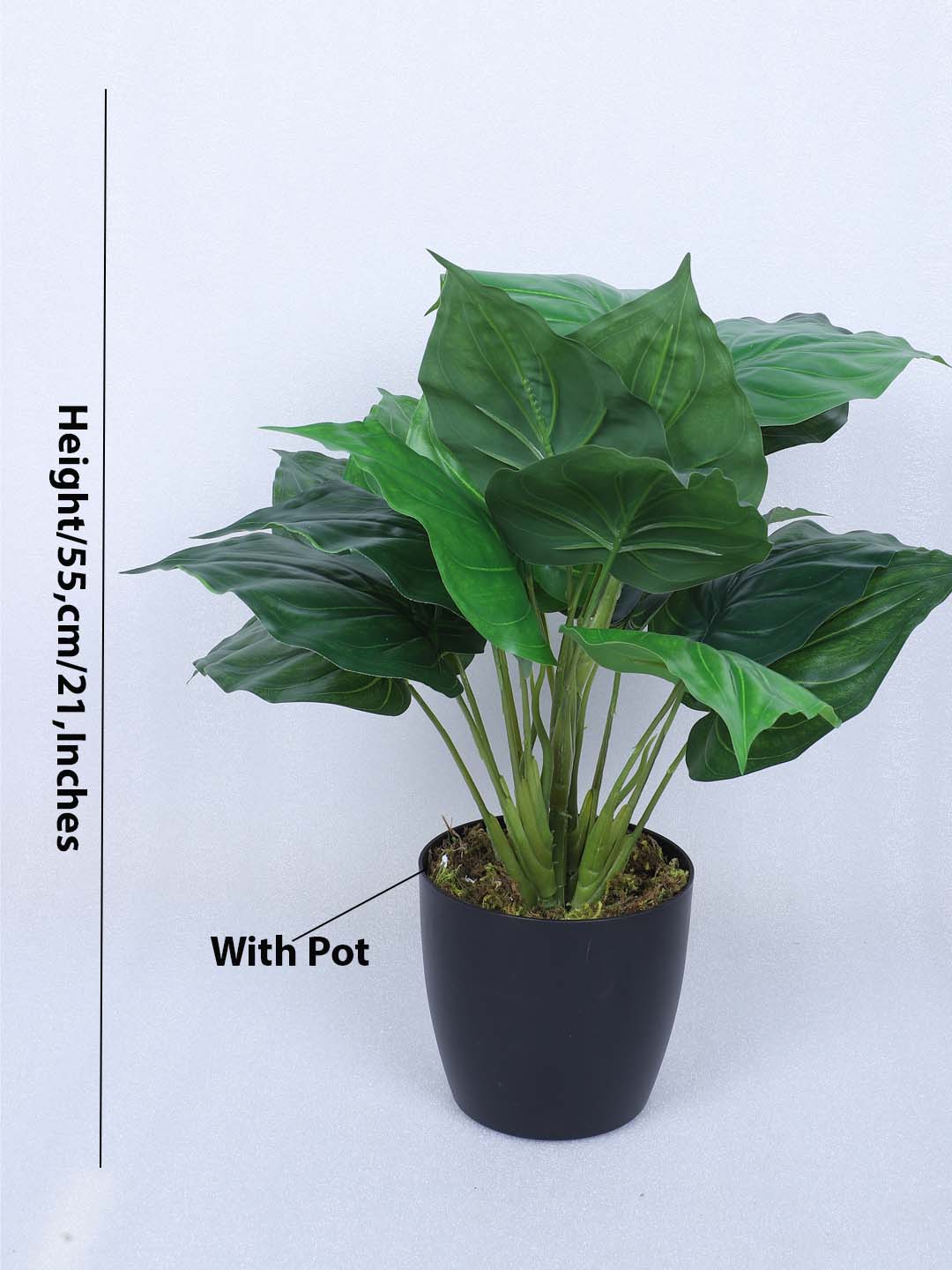 1.8 Feet Premium Artificial Diffenbachia Leaf Plant with Pot- Premium Artificial Plant for Home and Office Decor for indoor and outdoor use 