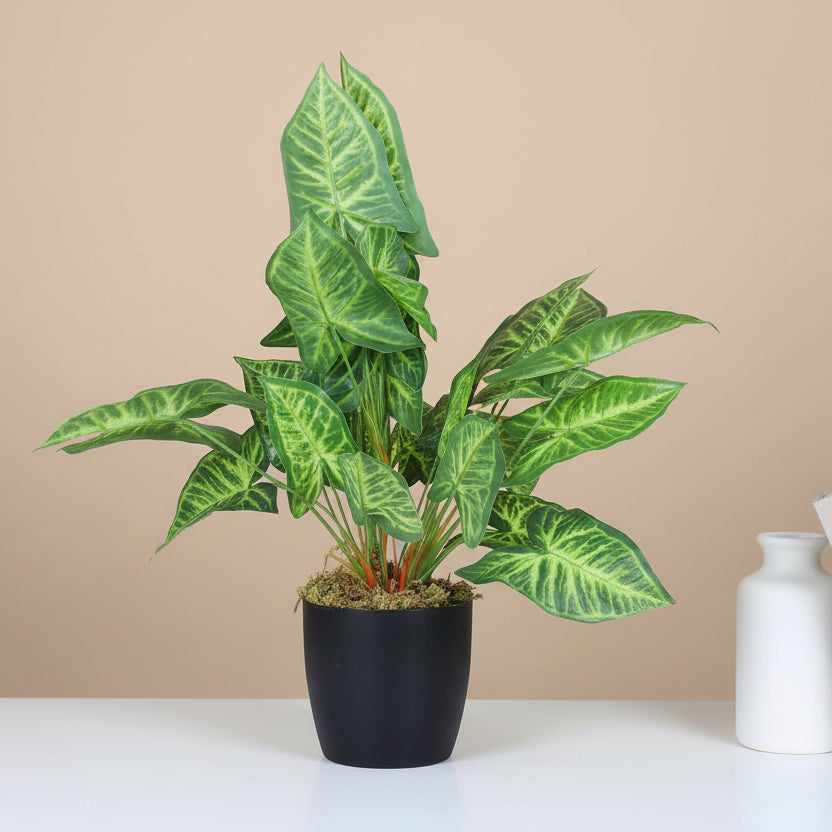 1.8 Feet Premium Faux Caladium Leaf Plant with Pot - Luxe Artificial Plant for Home and Interior Decor for indoor and outdoor use 