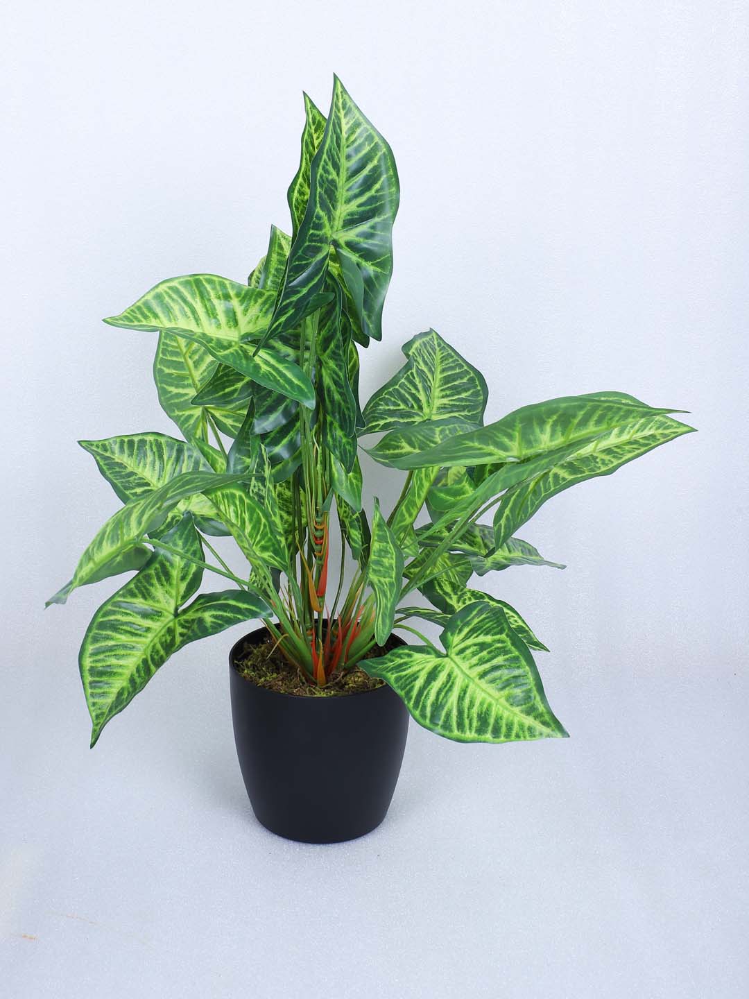 1.8 Feet Premium Faux Caladium Leaf Plant with Pot - Luxe Artificial Plant for Home and Interior Decor for indoor and outdoor use 