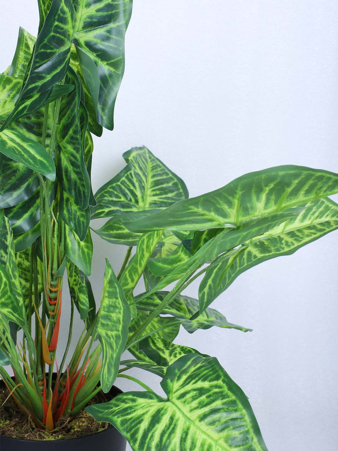 1.8 Feet Premium Faux Caladium Leaf Plant with Pot - Luxe Artificial Plant for Home and Interior Decor for indoor and outdoor use 