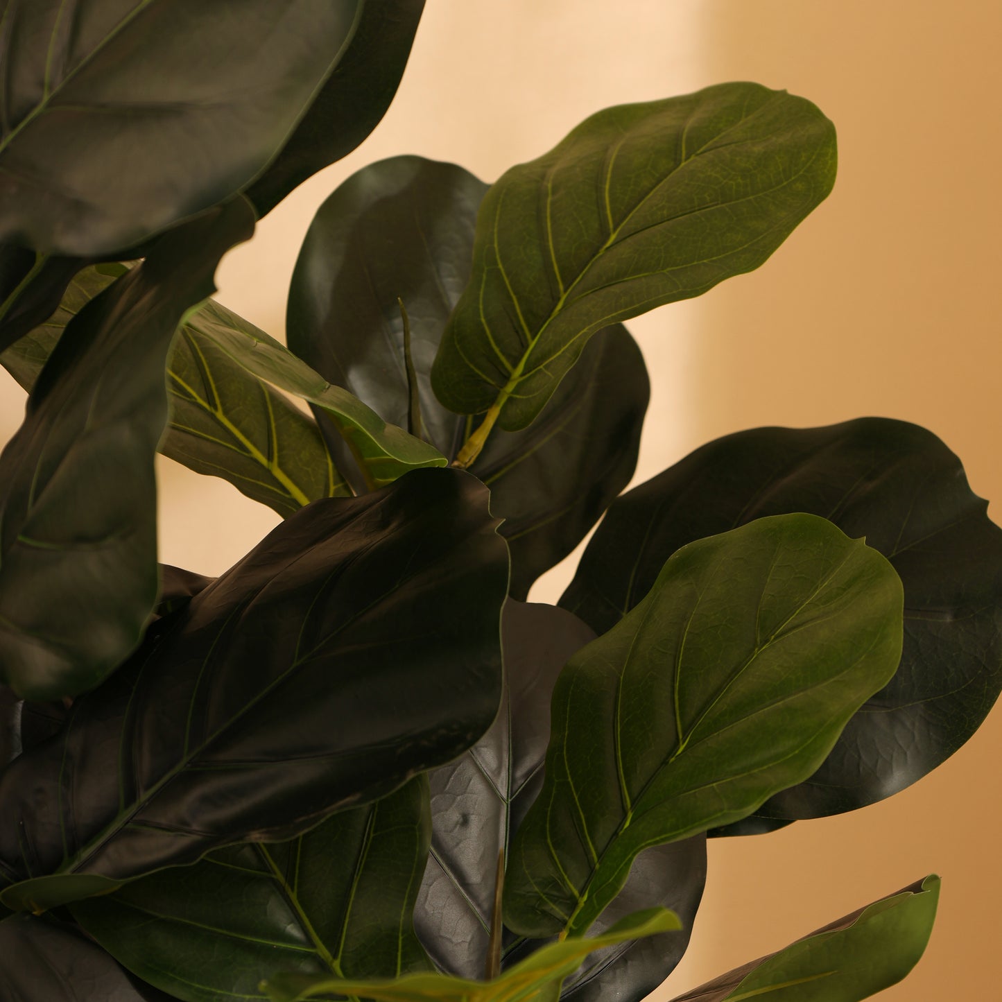 Artificial Fiddle Leaf Fig Plant for Home Décor – Realistic Indoor Plant (With Pot, 130 cm)