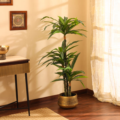 Artificial Variegated Dracaena Plant – With Pot (5 Feet)