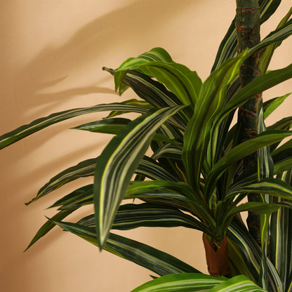 Artificial Variegated Dracaena Plant – With Pot (5 Feet)