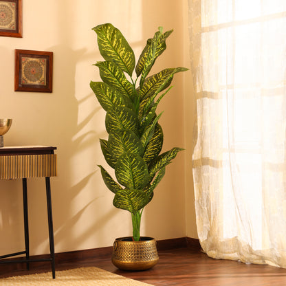 Artificial Dieffenbachia Plant for Home Décor – Realistic Indoor Plant (With Pot, 5.5 Feet)