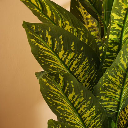 Artificial Dieffenbachia Plant for Home Décor – Realistic Indoor Plant (With Pot, 5.5 Feet)