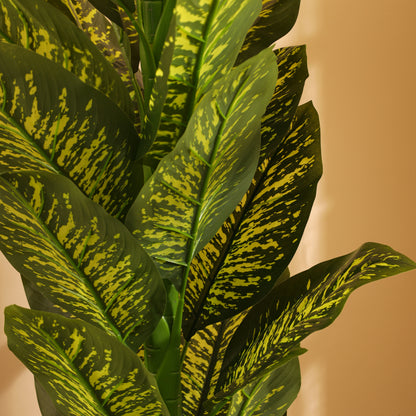 Artificial Dieffenbachia Plant for Home Décor – Realistic Indoor Plant (With Pot, 5.5 Feet)