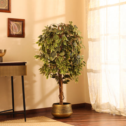 Artificial Variegated Ficus Plant – With Pot (5 Feet)