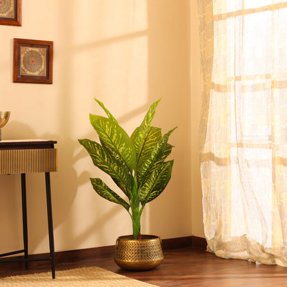 Artificial Dieffenbachia Plant for Home Décor – Realistic Indoor Plant (With Pot, 3 Feet)
