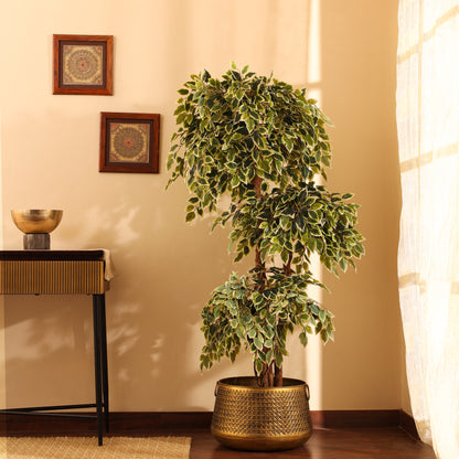 Artificial Variegated Ficus Bonsai – With Pot (5.5 Feet)