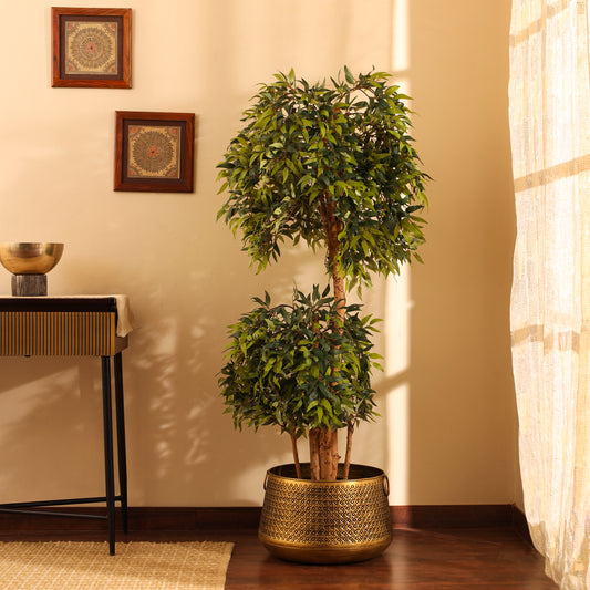 Artificial Ficus Bonsai Plant – With Pot (160 cm)