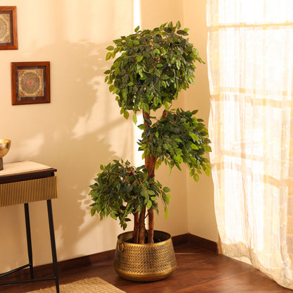 Artificial Green Ficus Bonsai for Home Décor – Realistic Indoor Plant (With Pot, 5.5 Feet)